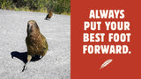 The Kea's Guide To Getting What You Want: Life advice from the world's smartest bird - Harper by Design