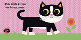 This Little Kitten (A Touch and Feel Book) - Ingela P Arrhenius