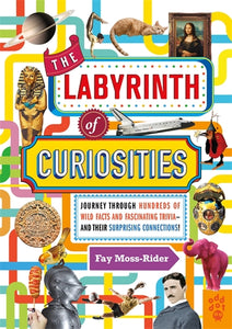 The Labyrinth of Curiosities - Fay Moss Rider