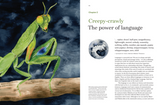 Six-Legged Ghosts: The Insects of Aotearoa - Lily Duval