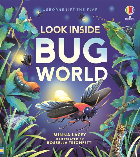 Look Inside Bug World - Usborne Lift-the-flap