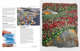 Mosaics Inspired by Nature: Creating Contemporary Art - Rachel Davies