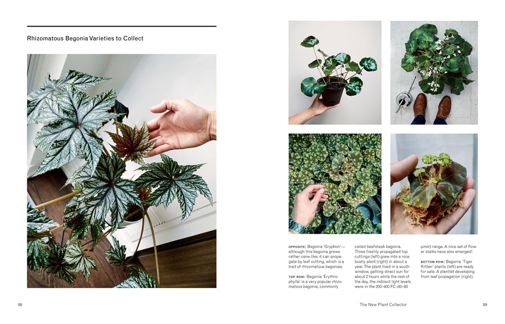 darryl cheng house plant journal The New Plant Collector: The Next Adventure in Your House Plant Journe – EmmasatOxford