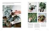 The New Plant Collector: The Next Adventure in Your House Plant Journey - Darryl Cheng