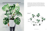 The New Plant Collector: The Next Adventure in Your House Plant Journey - Darryl Cheng