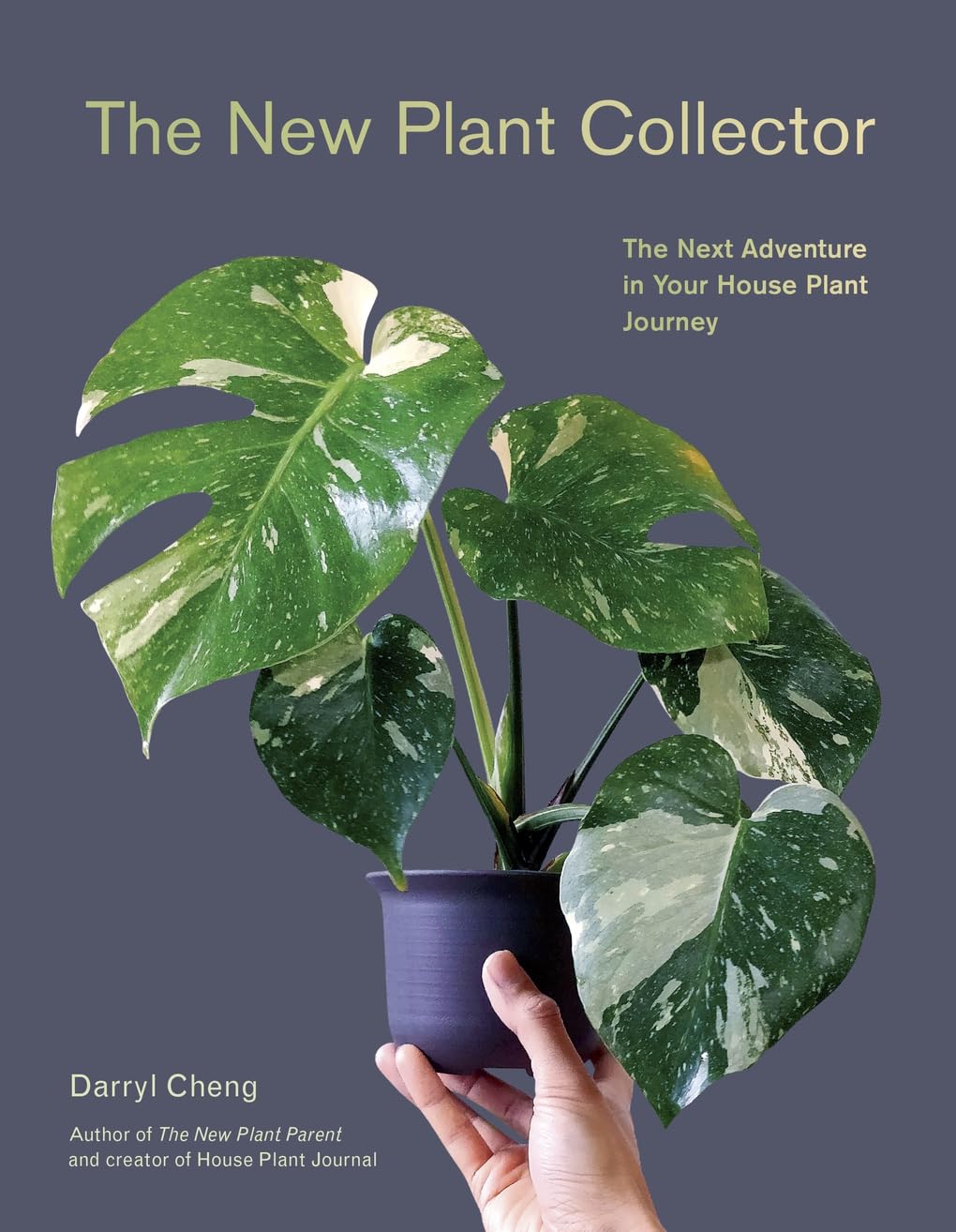 journal for house plant The New Plant Collector: The Next Adventure in Your House Plant Journe – EmmasatOxford