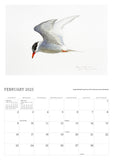 2025 Calendar - Nicolas Dillon Paintings of New Zealand Birds