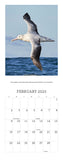 2025 Calendar - New Zealand’s Native Birds