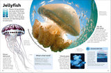 Eyewonder Oceans -DK