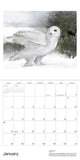 2026 Calendar - Owls