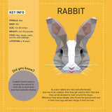 My Sticker Paintings - Pets