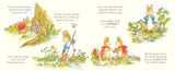 Peter Rabbit: The Great Outdoors Treasure Hunt A Lift-the-Flap Storybook