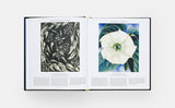 Plant: Exploring the Botanical World, compact edition - Phaidon