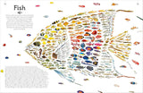 DK Shapes of Nature A Kaleidoscope of the Natural World - Ben Hoare