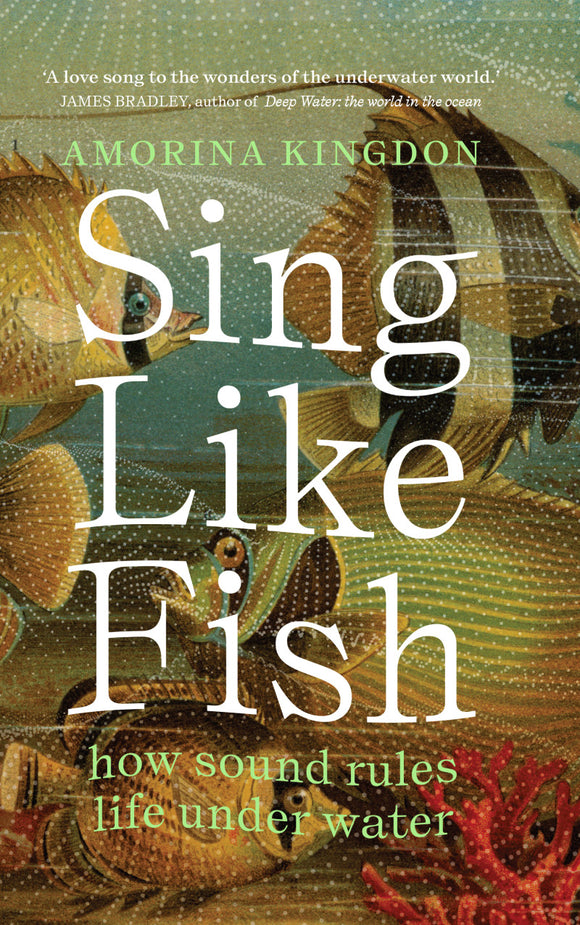 Sing Like Fish: How sound rules life under water - Amorina Kingdon