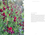 Sweet Pea School: Growing & Arranging the Garden’s Most Romantic Blooms - Marryn Mathis