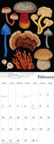 2025 Calendar - A Cabinet of Curiosities: Wolfkamp & Stone, Tanya Wolfkamp