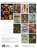 2025 Calendar - A Cabinet of Curiosities: Wolfkamp & Stone, Tanya Wolfkamp