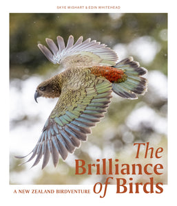 The Brilliance of Birds: A New Zealand Birdventure - Skye Wishart & Edin Whitehead