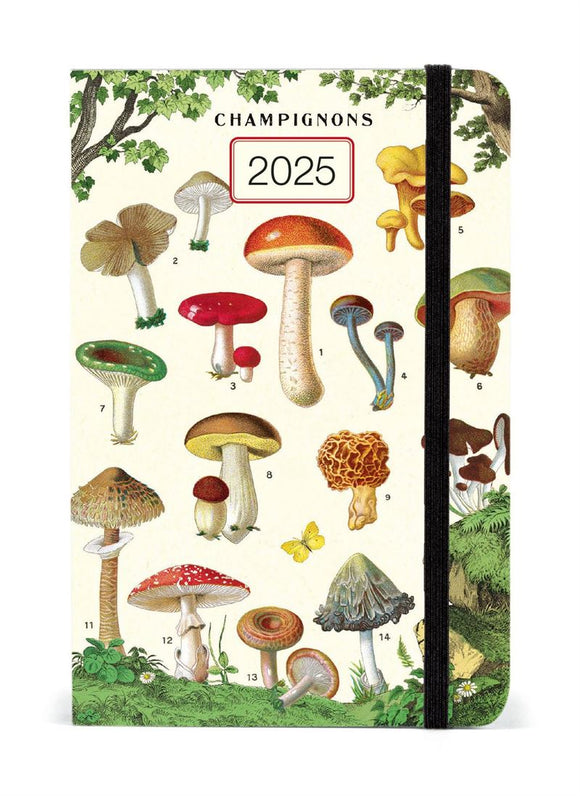 2025 Weekly Planner - Cavallini & Co: Mushrooms