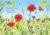 Usborne Little First Stickers: Wildflowers