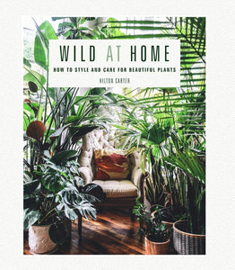 Wild at Home: How to style and care for beautiful plants - Hilton Carter