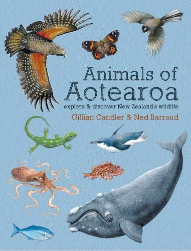 Animals of Aotearoa - Gillian Candler & Ned Barraud