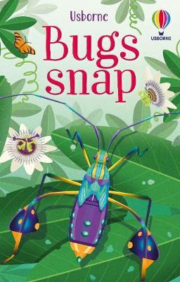 Snap Cards - Bugs