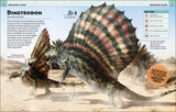 Extraordinary Dinosaurs and Other Prehistoric Life: Visual Encyclopedia - DK