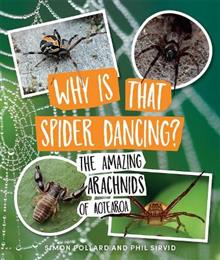Why Is That Spider Dancing? - Simon Pollard