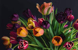 Tulips: Beautiful varieties for home and garden - Jane Eastoe
